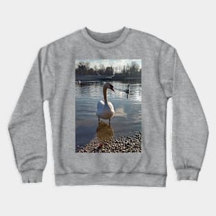 Swan photo Crewneck Sweatshirt